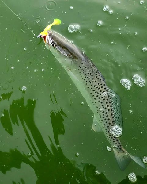 cross with fishing pole 348 Crossed Fishing Poles Royalty-Free Images, Stock Photos & Pictures