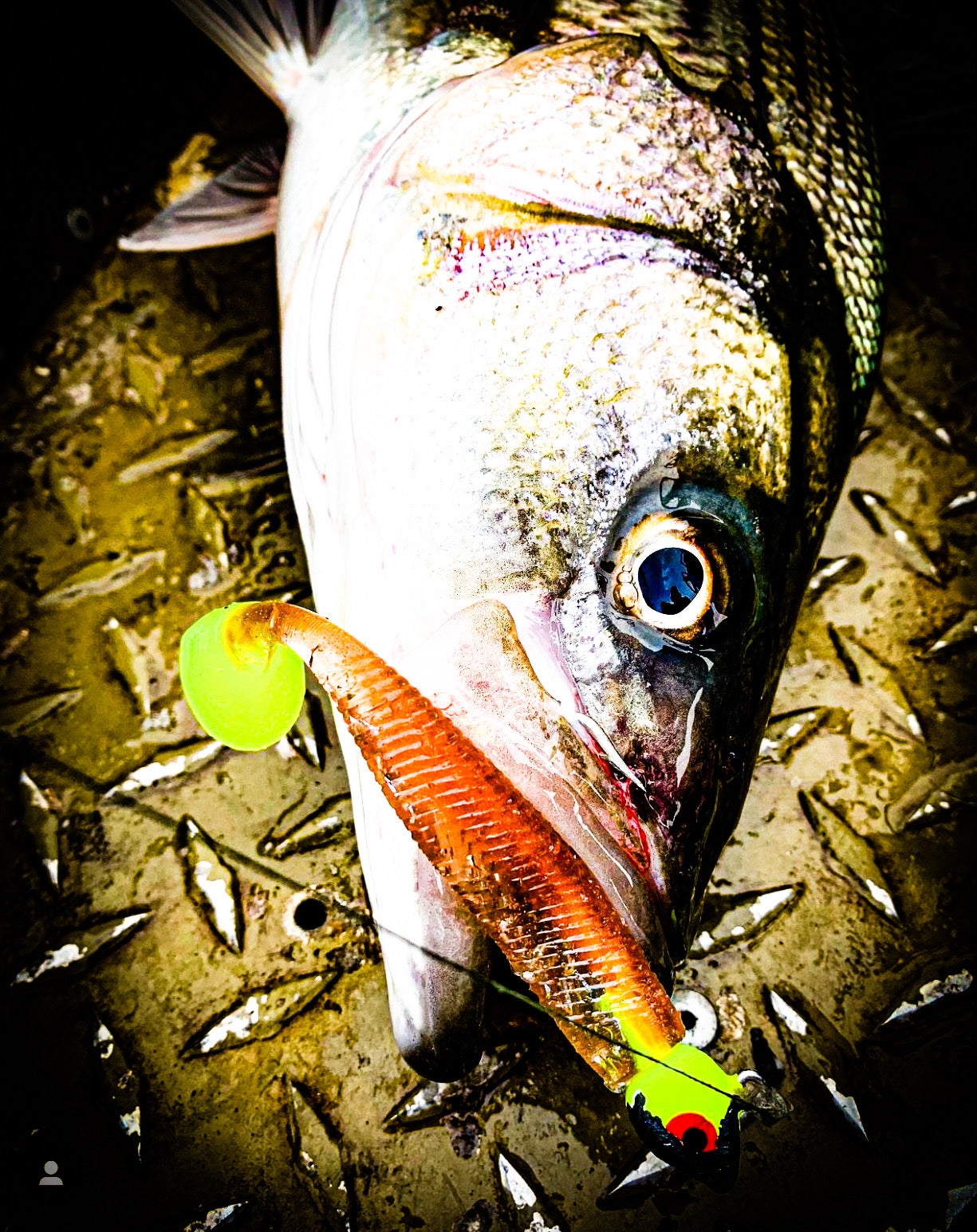 KLF Lures - Port Stephens Game Fishing Tackle Specialist