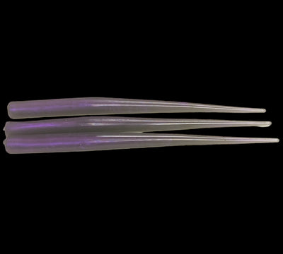 9” OG Eels